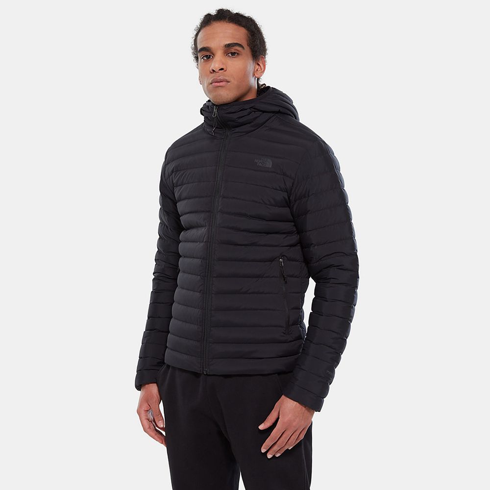 The North Face Winter Jacket Mens Australia - The North Face Stretch Hooded Black Hiking (NHQ-972105